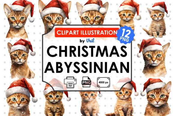 Christmas Abyssinian Clipart Bundle: Premium Illustrations for Holiday Campaigns